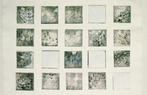 Variation for Marshall Baron